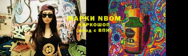 a pvp Аркадак