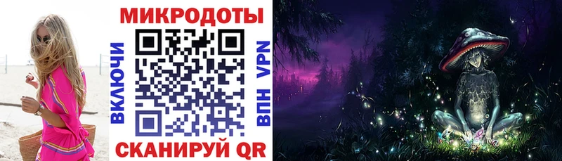 Псилоцибиновые грибы Psilocybine cubensis  Можга 